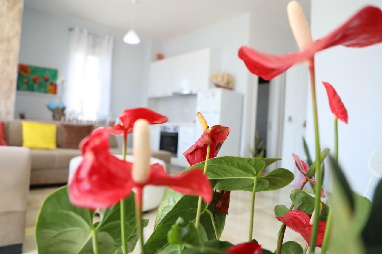 Hakun Matata Rezindence&apartments Appartement